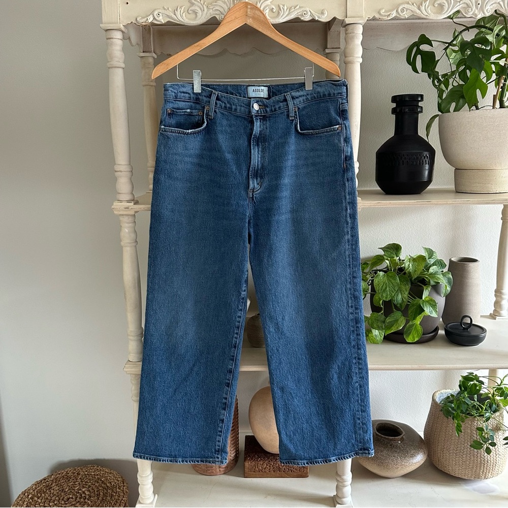 Agolde Harper Crop Jean in Moor (32)
